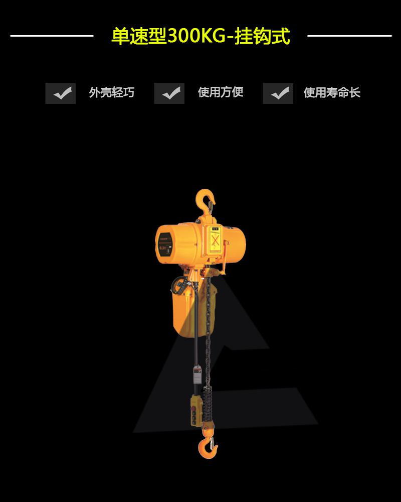 单速型300KG-挂钩式-辰力集团有限公司